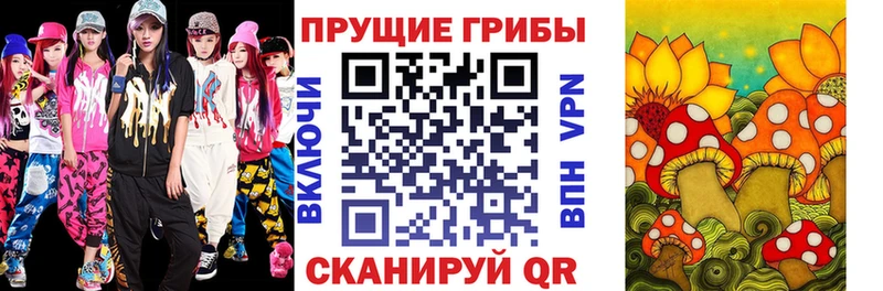 Купить закладки  Онега  Псилоцибиновые грибы Psilocybine cubensis 